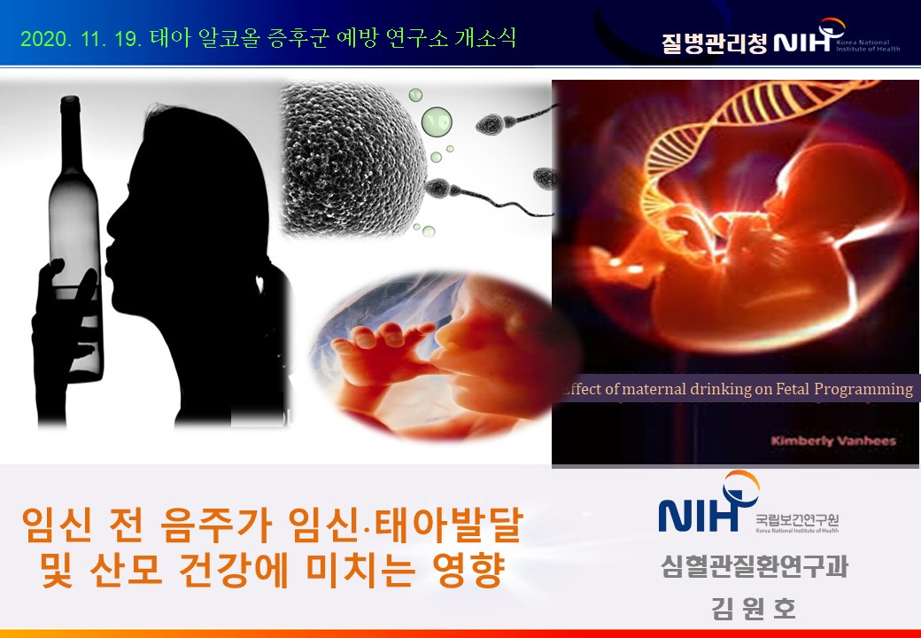 (교육 PPT) 임신 전 음주가 임신 중 태아발달 및 산모 건강에 미치는 영향 - 김원호 박사님 (국립보건연구원 심혈관질환과)