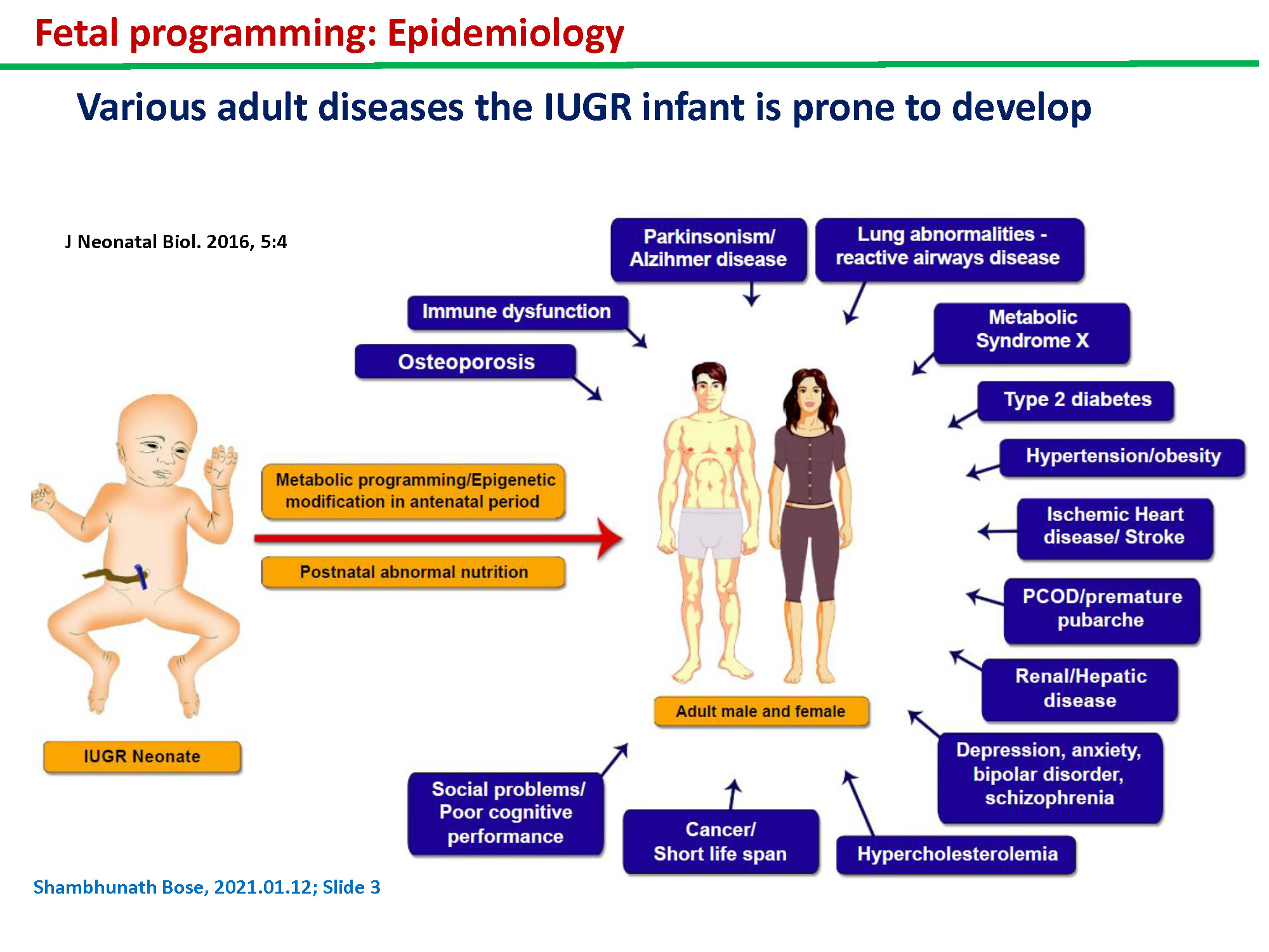 (교육 PPT) Fetal Programming: An Insight -  Dr. Shambhunath Bose